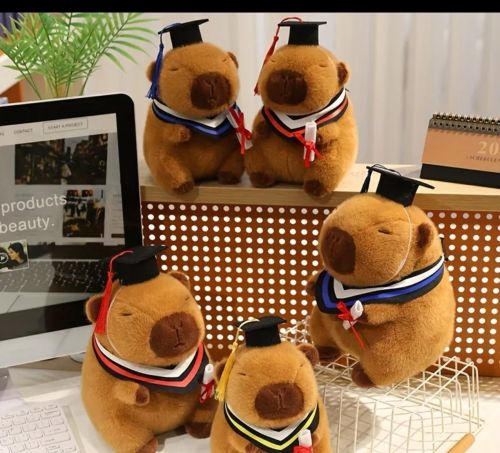 Capibara graduación